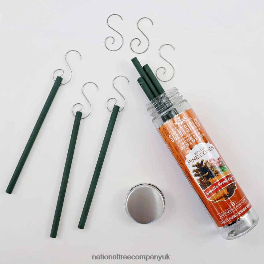 decoration | National Tree Company Scented Ornaments 2-Pack- 6ct Bottle Spiced Pine Cones Fragrance-Infused Paper Sticks F2L4F544